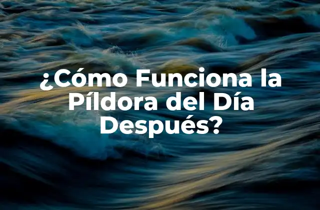 ¿cómo Funciona la Píldora Del Día Después?