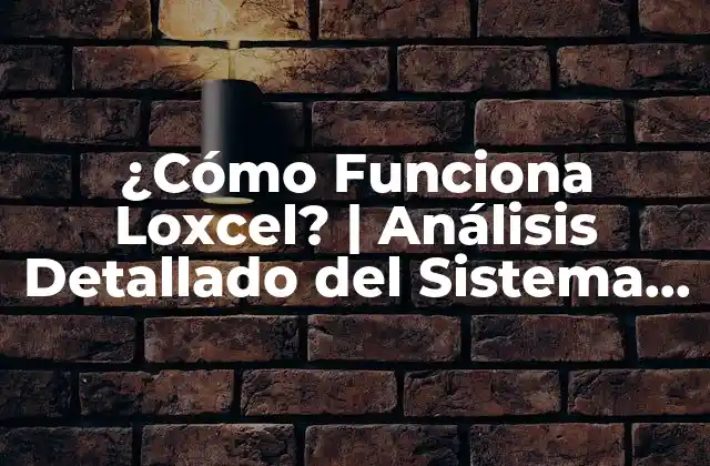 ¿Qué es Loxcel y cuáles son sus beneficios?