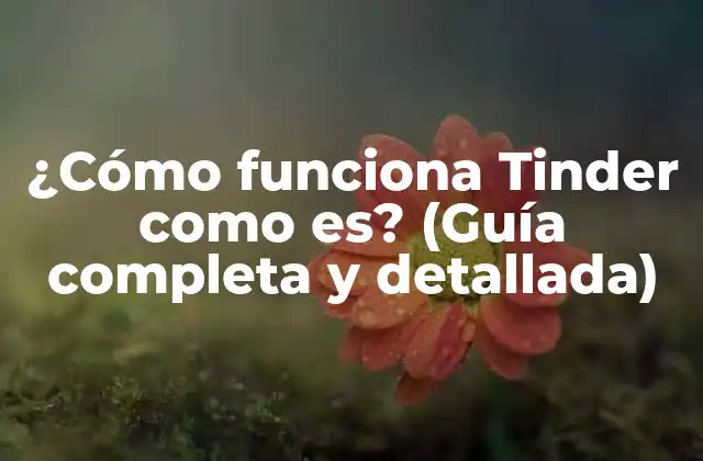 ¿cómo Funciona Tinder como Es? (guía Completa y Detallada)