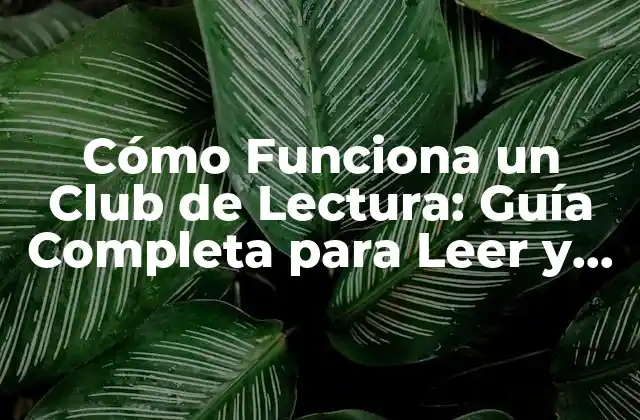 Cómo Funciona un Club de Lectura: Guía Completa para Leer y Compartir
