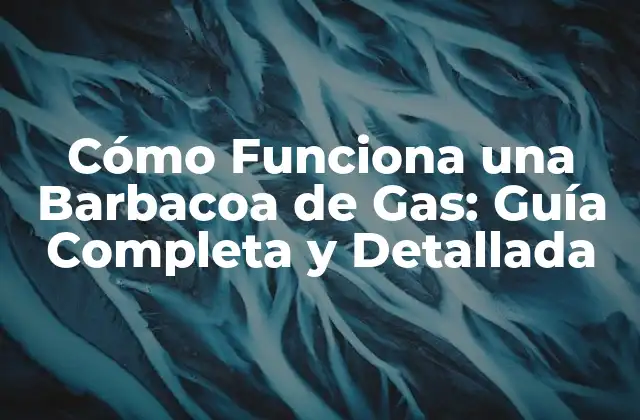 Cómo Funciona una Barbacoa de Gas: Guía Completa y Detallada