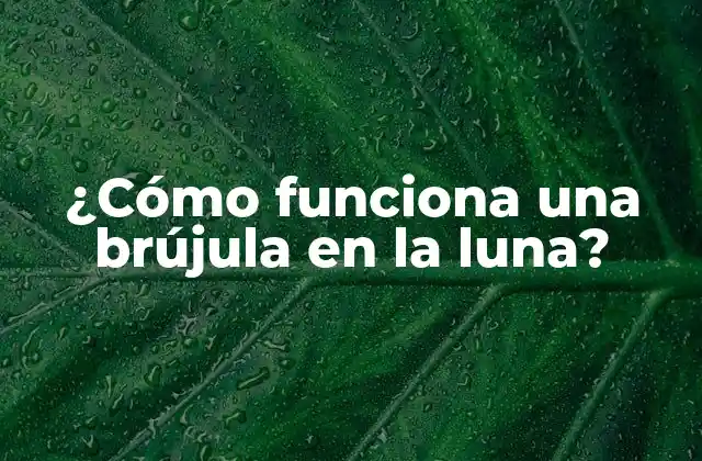 ¿cómo Funciona una Brújula en la Luna?