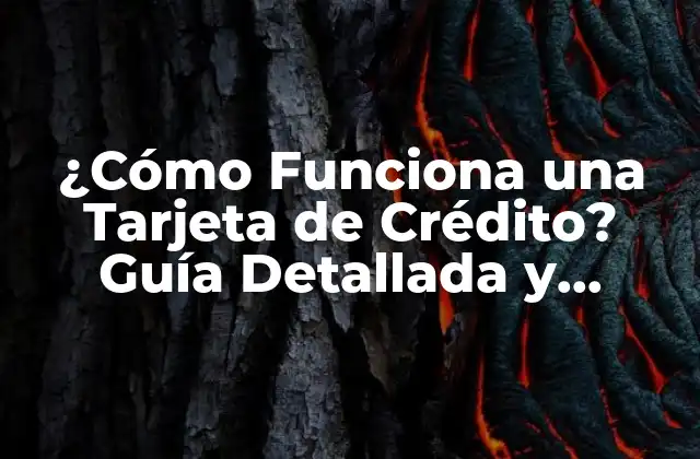 ¿cómo Funciona una Tarjeta de Crédito? Guía Detallada y Completa