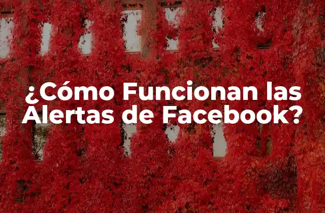 ¿cómo Funcionan las Alertas de Facebook?