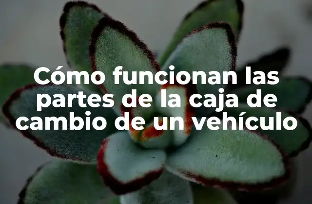 Cómo Funcionan las Partes de la Caja de Cambio de un Vehículo