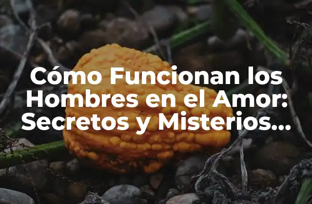 Cómo Funcionan los Hombres en el Amor: Secretos y Misterios Revelados