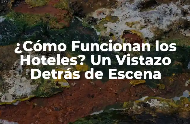 ¿cómo Funcionan los Hoteles? un Vistazo Detrás de Escena 2 La Estructura Organizativa de un Hotel