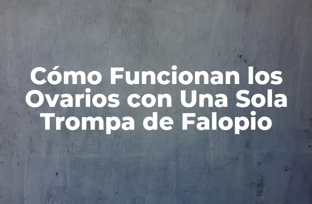 Cómo Funcionan los Ovarios con una Sola Trompa de Falopio
