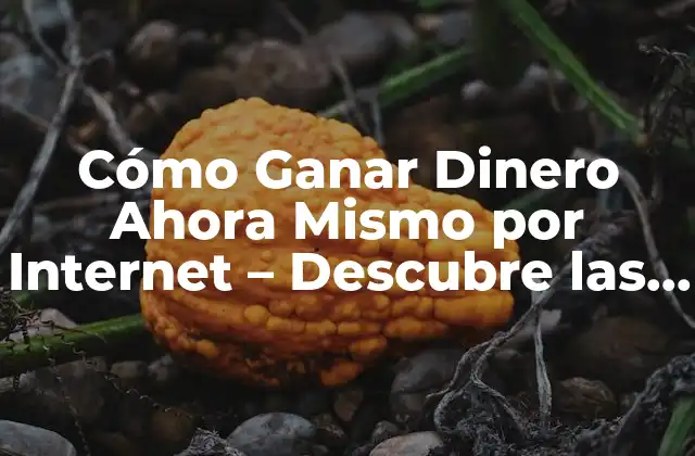 Cómo Ganar Dinero Ahora Mismo por Internet – Descubre las Oportunidades