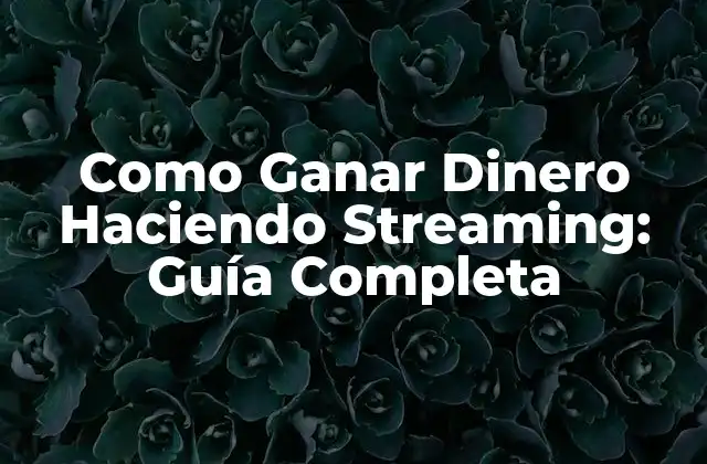 Como Ganar Dinero Haciendo Streaming: Guía Completa