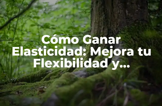 Cómo Ganar Elasticidad: Mejora Tu Flexibilidad y Movilidad