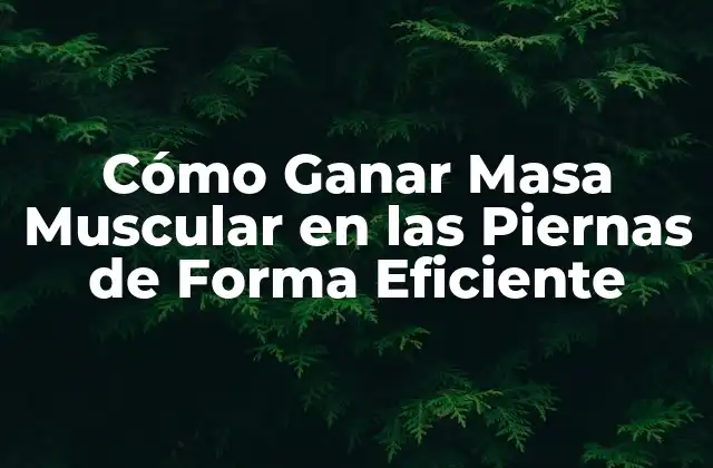 ¿Por qué es Importante Ganar Masa Muscular en las Piernas?