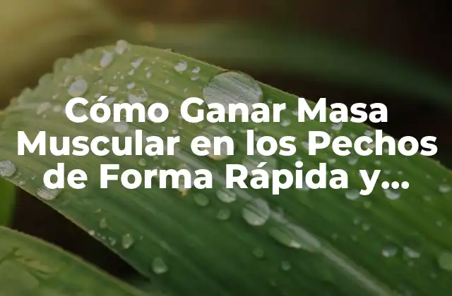Cómo Ganar Masa Muscular en los Pechos de Forma Rápida y Segura