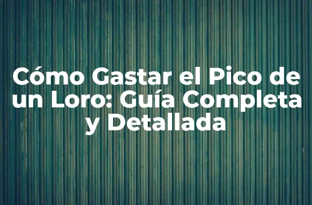 Cómo Gastar el Pico de un Loro: Guía Completa y Detallada