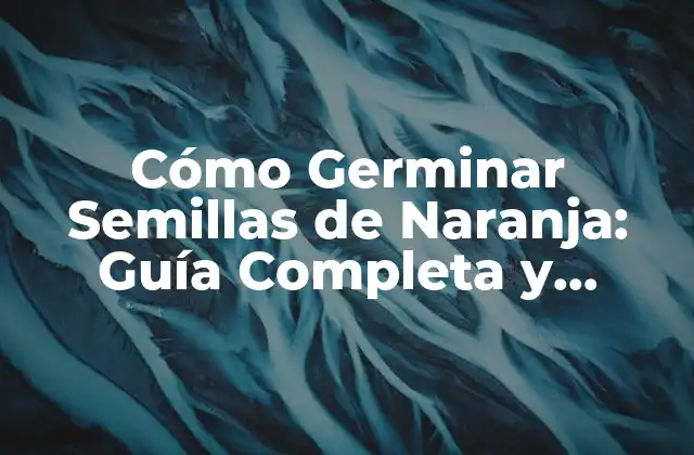 Cómo Germinar Semillas de Naranja: Guía Completa y Detallada 2 ¿Por qué Germinar Semillas de Naranja es un Proceso Desafiante?