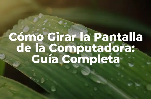 Cómo Girar la Pantalla de la Computadora: Guía Completa