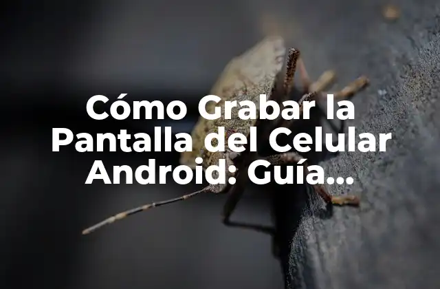 Cómo Grabar la Pantalla Del Celular Android: Guía Completa