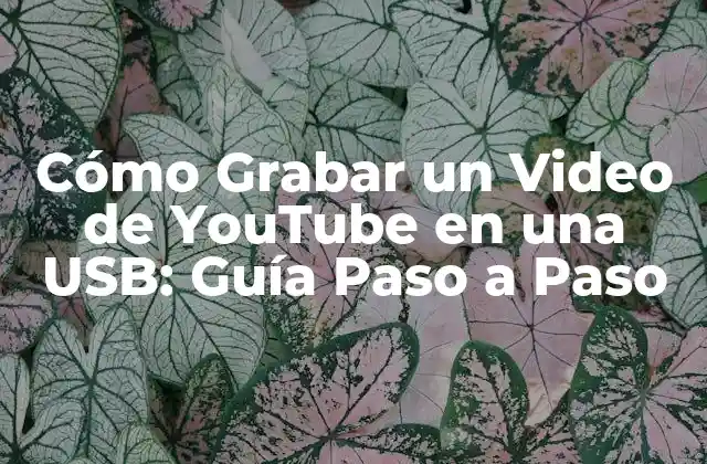 Cómo Grabar un Video de Youtube en una Usb: Guía Paso a Paso