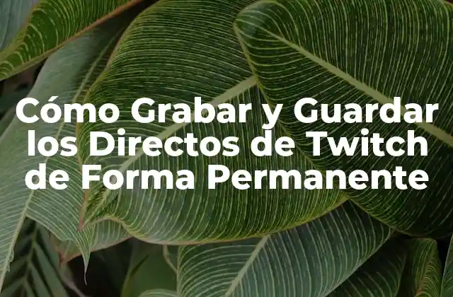 Cómo Grabar y Guardar los Directos de Twitch de Forma Permanente