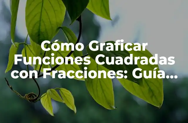 Cómo Graficar Funciones Cuadradas con Fracciones: Guía Detallada