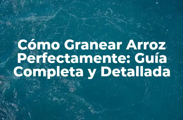 Cómo Granear Arroz Perfectamente: Guía Completa y Detallada