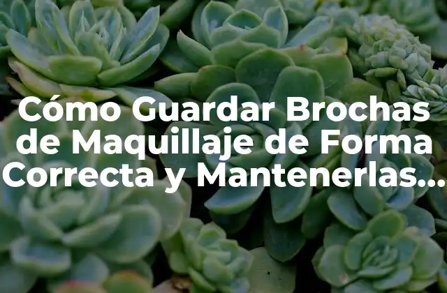 Cómo Guardar Brochas de Maquillaje de Forma Correcta y Mantenerlas en Buen Estado