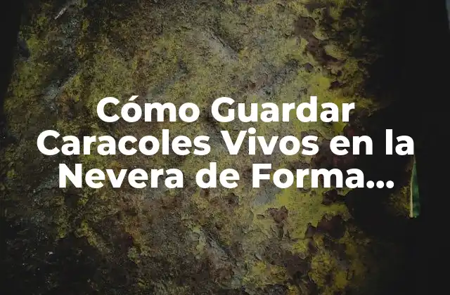 Cómo Guardar Caracoles Vivos en la Nevera de Forma Segura