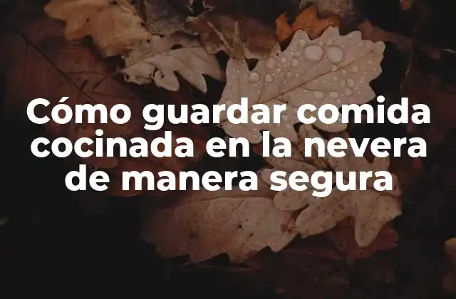 Cómo Guardar Comida Cocinada en la Nevera de Manera Segura