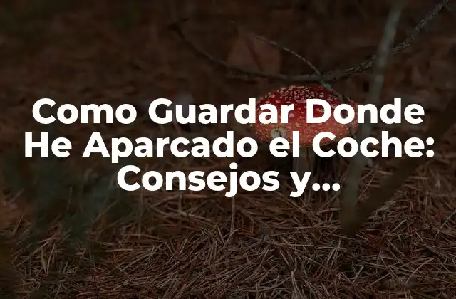 Como Guardar Donde He Aparcado el Coche: Consejos y Herramientas Útiles