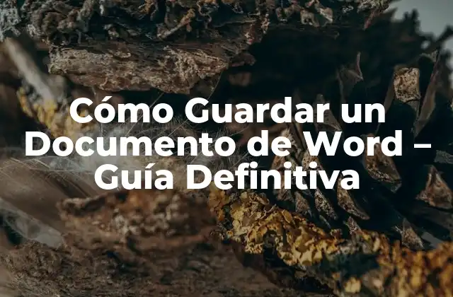 Cómo Guardar un Documento de Word - Guía Definitiva 2 ¿Por qué es Importante Guardar un Documento de Word?