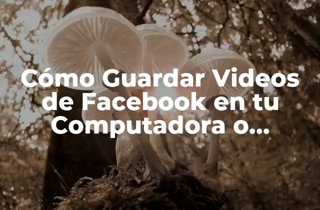Cómo Guardar Videos de Facebook en Tu Computadora o Dispositivo Móvil