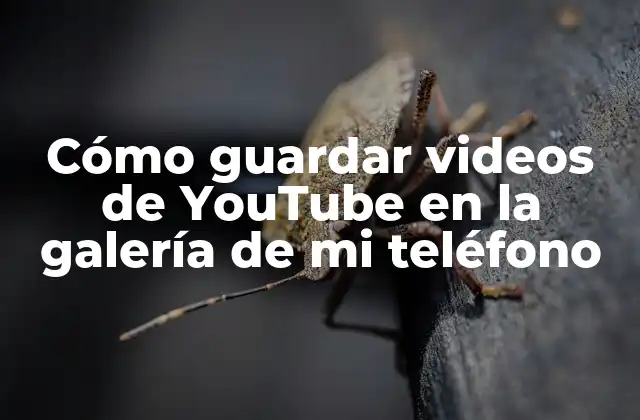 Cómo Guardar Videos de Youtube en la Galería de Mi Teléfono