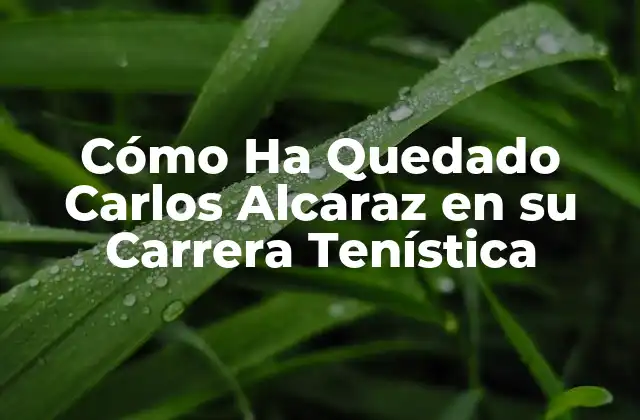 Cómo Ha Quedado Carlos Alcaraz en Su Carrera Tenística