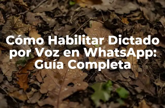 Cómo Habilitar Dictado por Voz en Whatsapp: Guía Completa