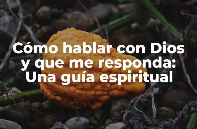 Cómo Hablar con Dios y que Me Responda: una Guía Espiritual