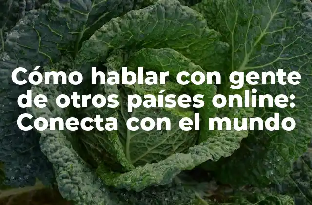 Cómo Hablar con Gente de Otros Países Online: Conecta con el Mundo