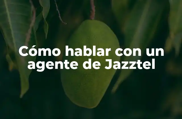 Cómo Hablar con un Agente de Jazztel