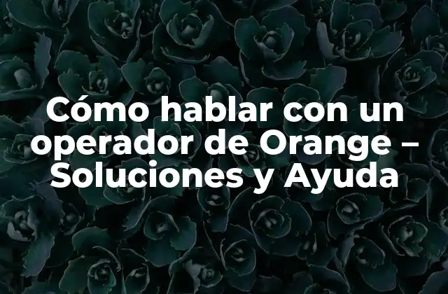 Cómo Hablar con un Operador de Orange – Soluciones y Ayuda