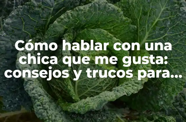 Cómo Hablar con una Chica que Me Gusta: Consejos y Trucos para Conquistarla