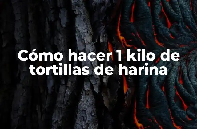 Cómo Hacer 1 Kilo de Tortillas de Harina