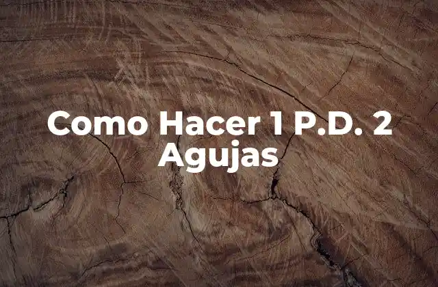 ¿Qué es 1 P.D. 2 Agujas?