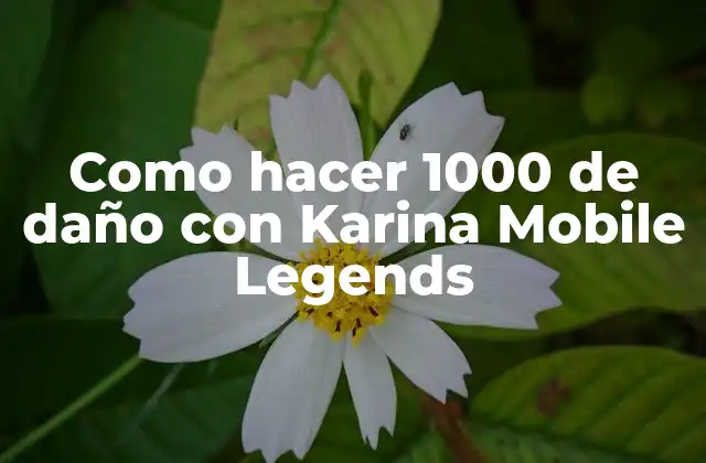 Que es Karina en Mobile Legends y como utilizarla para hacer 1000 de daño