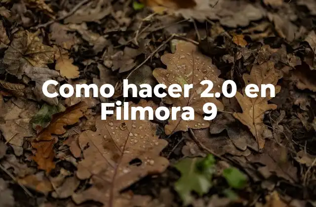 ¿Qué es un video 2.0 y cómo se utiliza en Filmora 9?
