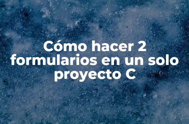 Cómo Hacer 2 Formularios en un Solo Proyecto C 2 Cómo hacer 2 formularios en un solo proyecto C