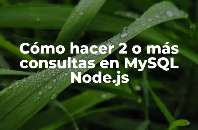 Cómo Hacer 2 o Más Consultas en Mysql Node.js