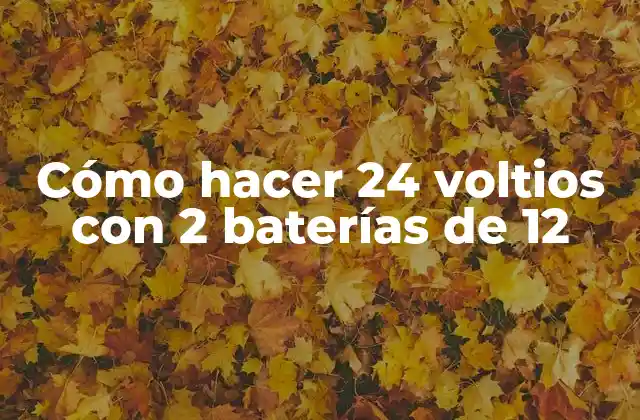 Cómo Hacer 24 Voltios con 2 Baterías de 12