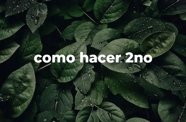 ¿Qué es hacer 2no y para qué sirve?