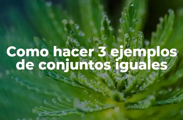 ¿Qué son conjuntos iguales y cómo se utilizan?