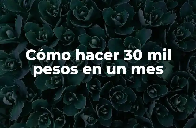 Cómo Hacer 30 Mil Pesos en un Mes