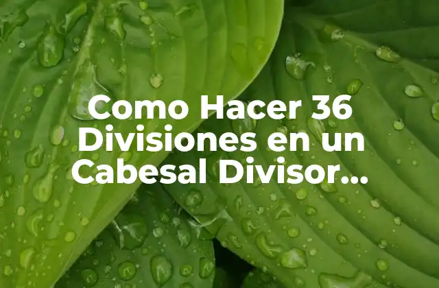 Como Hacer 36 Divisiones en un Cabesal Divisor Universal